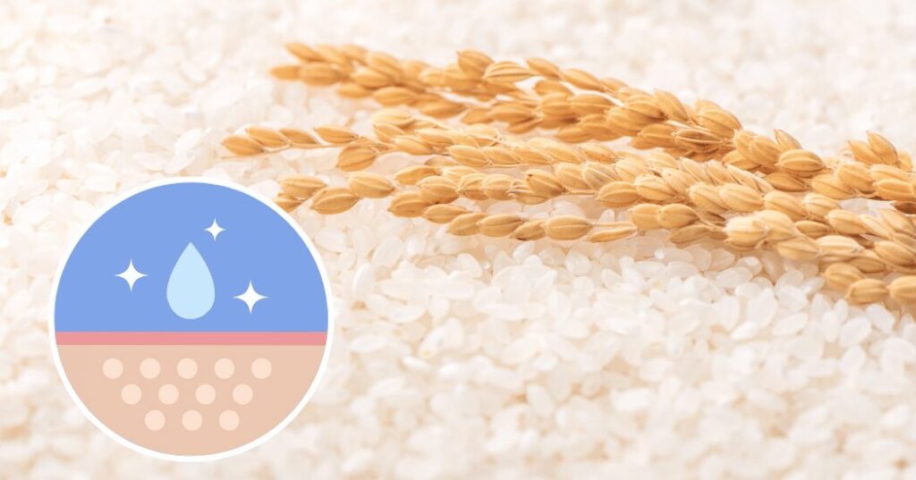 ライスパワーNo.11+とは?肌の水分保持能を改善し、シワ改善も認められた日本発の有効成分を紹介するイメージ