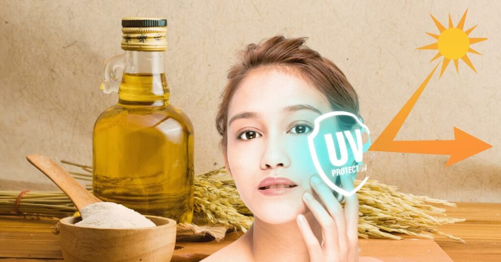 フェルラ酸誘導体(Ferulic Acid Derivative)をイメージした美容成分のビジュアル。外的ストレスから肌を守るアプローチとして注目される整肌成分のイメージ画像。