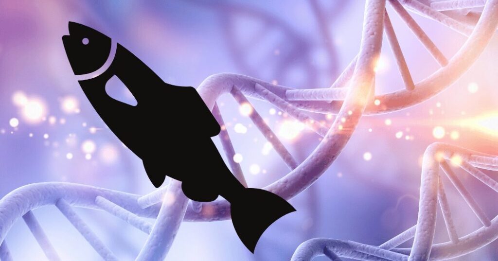 PDRN(ポリデオキシヌクレオチド)をイメージした美容成分のビジュアル。DNA由来の整肌成分として、美容科学から注目を集めるイメージ画像。