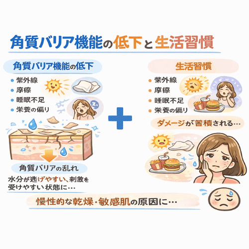 睡眠不足や食生活の乱れ、ストレスなどの生活習慣によって角質バリア機能が低下し、肌の水分が逃げやすくなって乾燥や刺激を感じやすくなる仕組みを示した図