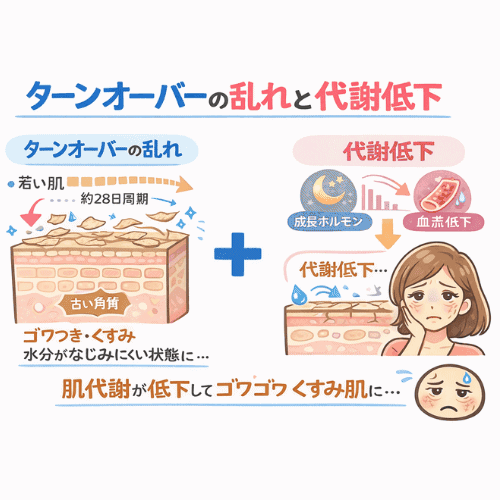加齢によって肌のターンオーバーが乱れ、代謝が低下することで古い角質が残りやすくなり、ゴワつきやくすみ、水分がなじみにくくなる仕組みを示した図