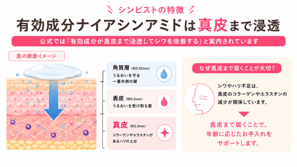シンピストの有効成分ナイアシンアミドが真皮まで浸透する仕組みを、肌の断面図で分かりやすく解説した図解